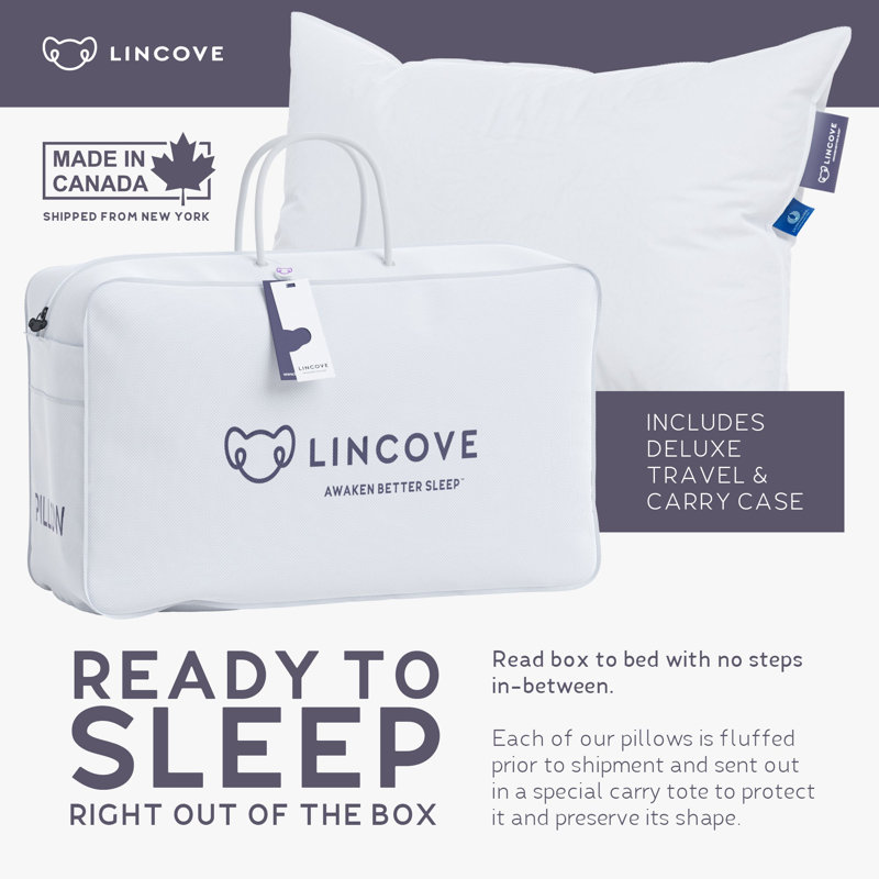 Oreiller en duvet de linceul européen Lincoln, 10", Très grand coussin: 20 po x 36 po