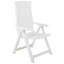 Isabela Plastic / Resin Folding Chair Set-1751718589