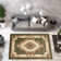 Ramsel Oriental Indoor Rug