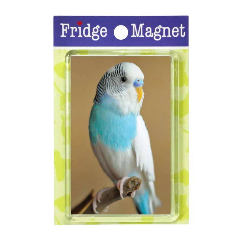 Fridge Magnet