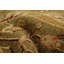 Tapis de zone en laine beige/rouge 9 pi 3 po x 12 pi 4 po one-of-kind à la main-noué la 2010 ushak Ani