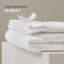 Très grande couverture en duvet blanc Windom-21365931-26628194