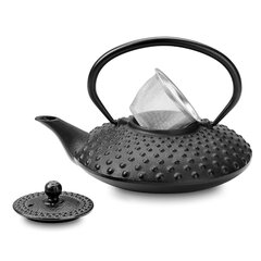 Tetsubin Cube Black Cast Iron Teapot 27 oz 1-Count Box