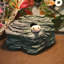 Reptile Herp Haven -5441459