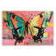 Papillon rétro sur plaque abstraite rose, design par LSR Design Studio-1552219645