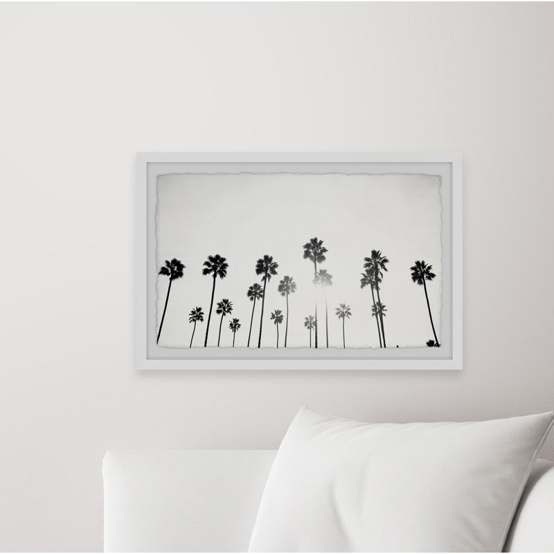 Mass Of Palm Trees - Single Picture Frame Print, 61cm H x 91cm W x 3.81cm D