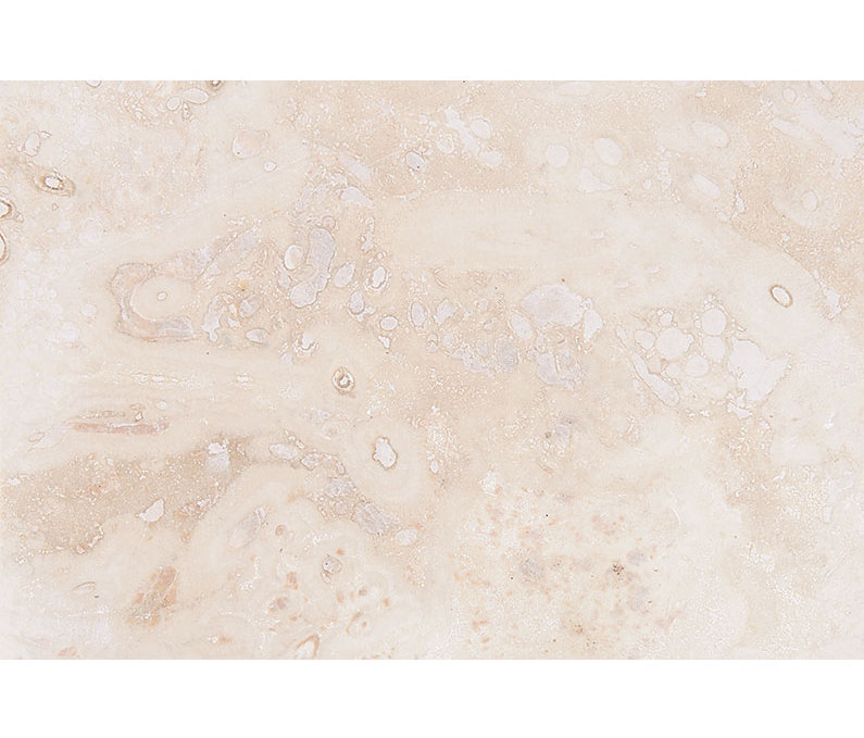 Ivory 16" x 24" Travertine Wall & Floor Tile
