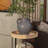 Calila Handmade Watertight Ceramic Table Vase with Textured Whitewashed Finish and Handles