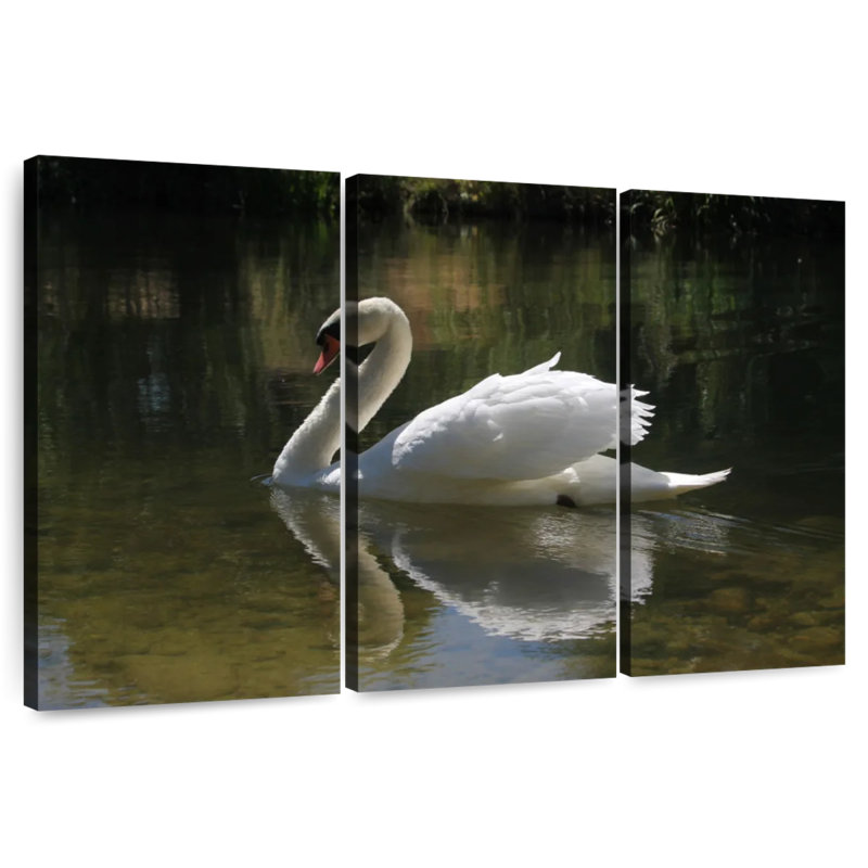Swan Lake Reflection, 32" H x 50" W