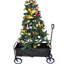 Chariot de plage pliable