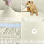 Box Cushion Sofa Slipcover