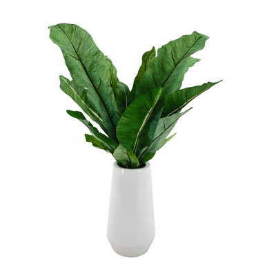 Faux Bird Nest Fern In Glossy White Ceramic Vase