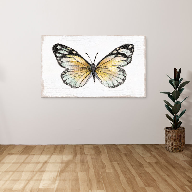 "Vintage Flutter II" by Tava Studios Print on Canvas, 18" H x 30" W x 1" D