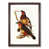 Walnut Framed