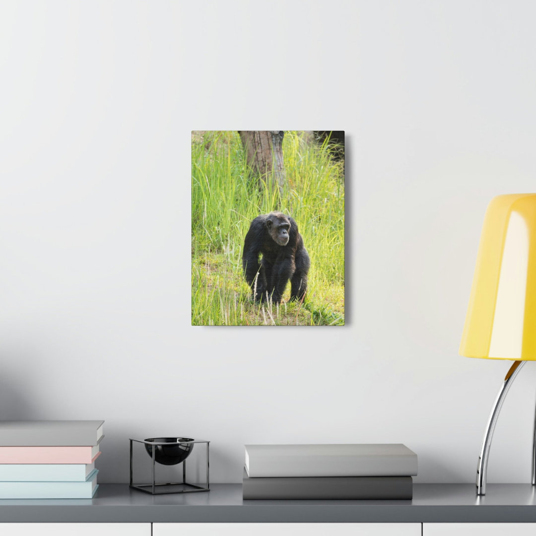 No Frame Print on Canvas