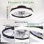 Ceiling Fan with Light Kit
