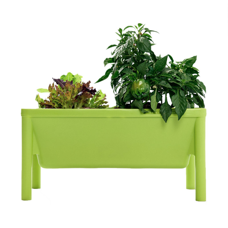 Lit de jardin surélevé Nedelea, Avocat