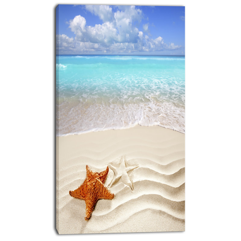 Étoile de mer brune sur une plage des Caraïbes - reproduction de photo sur toile tendue, H 60 po x l 28 po x P 1,5 po