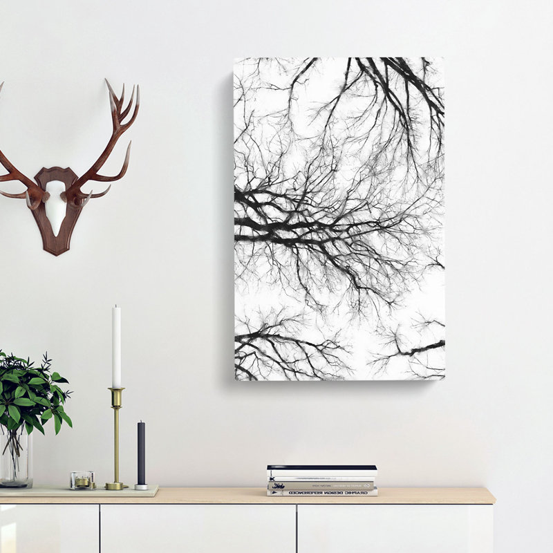 Tree Branches In Central Park New York - Wrapped Canvas, 91cm H x 60cm W x 3cm D