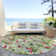 Machine Washable Indoor/Outdoor Christmas Cherries Xhevrie Aloe Rug