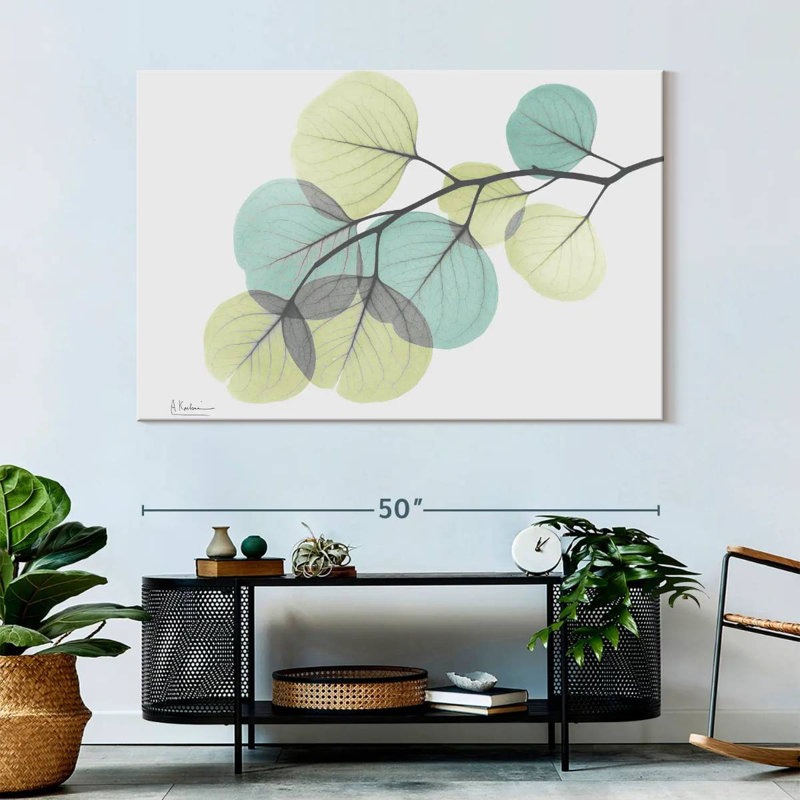 Eucalyptus Harnek Turq, H 34 po x l 51 po