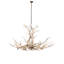 8 - Light Chandelier