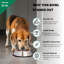 Bol pour animal de compagnie-13945766
