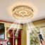 Ventilateur de plafond Meghann avec lumières DEL