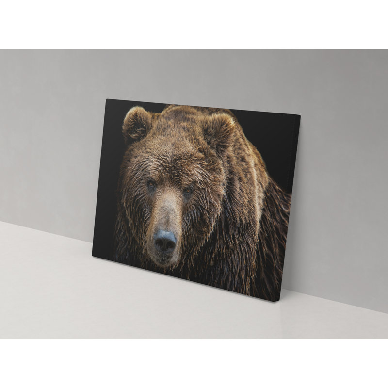 Bear Out The Water - Wrapped Canvas Print, 82cm H x 123cm W x 4cm D