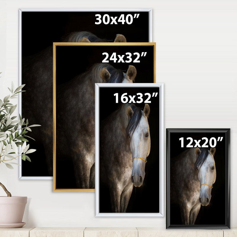Portrait d'un cheval blanc - Photographie sur toile, H 20 po x l 12 po x P 1po, Cadre flottant doré