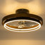 Farmhouse Ceiling Fan With LED Light Fandelier