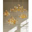 Lunaria 6 - Light Chandelier-136117326