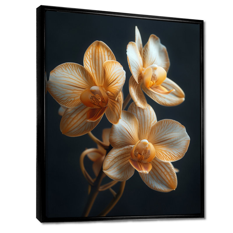Orchidées noires parfumées Fusion Photo IV - orchidées murales, Cadre flottant noir, H 12 po x l 20 po