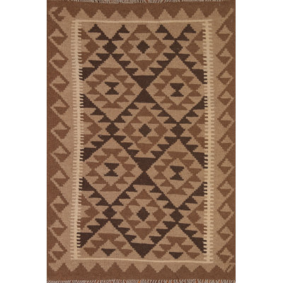 Reversible Wool Kilim Oriental Area Rug 3x5