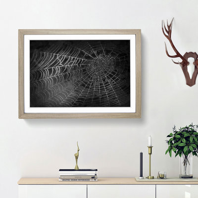 Spiders Cobweb in Abstract - Framed Print