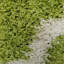 Tapis vert à poils longs Anie-1056067783