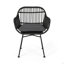 Chaises en faux rotin avec coussins Rodney (ensemble de 2)-815164405-815164404