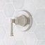 Brushed Nickel