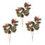 34 po Garden Coleus -1325439558