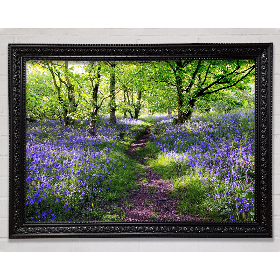 Path Through The Bluebells - Einzelne Bilderrahmen Kunstdrucke