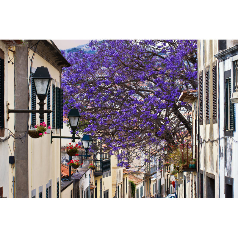Madeira Funchal - Photographie sur toile tendue, H 8 po x l 12 po x P 1,25 po