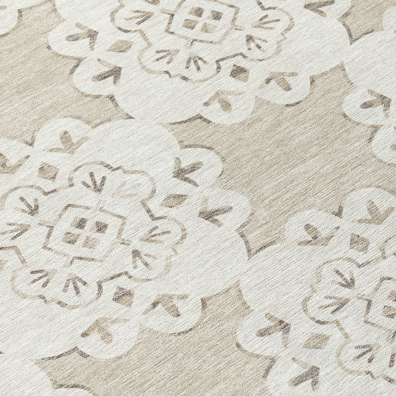 Machine Washable Indoor/Outdoor Chantille ACN2352 Casual Rug, Rectangle 5' x 7'6"