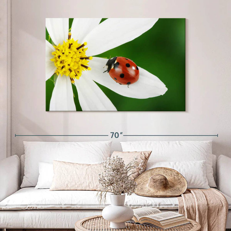 Brampt Ladybug On White Flower, 32" H x 48" W