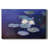 Water Lilies-Gallery Wrapped Canvas-1722319254