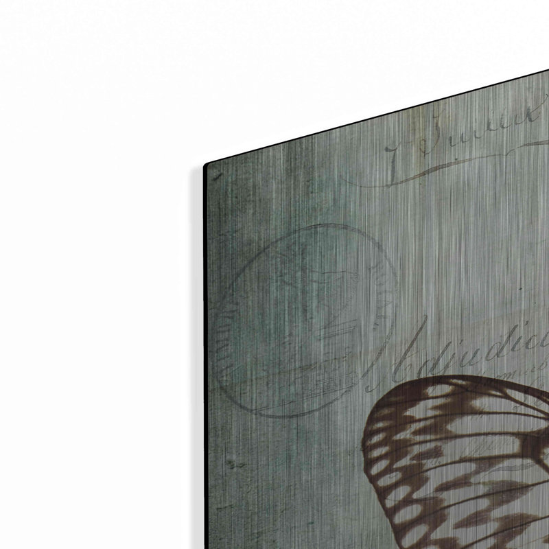 «French Butterfly V» par Debra Van Swearingen, H 36 po x l 36 po
