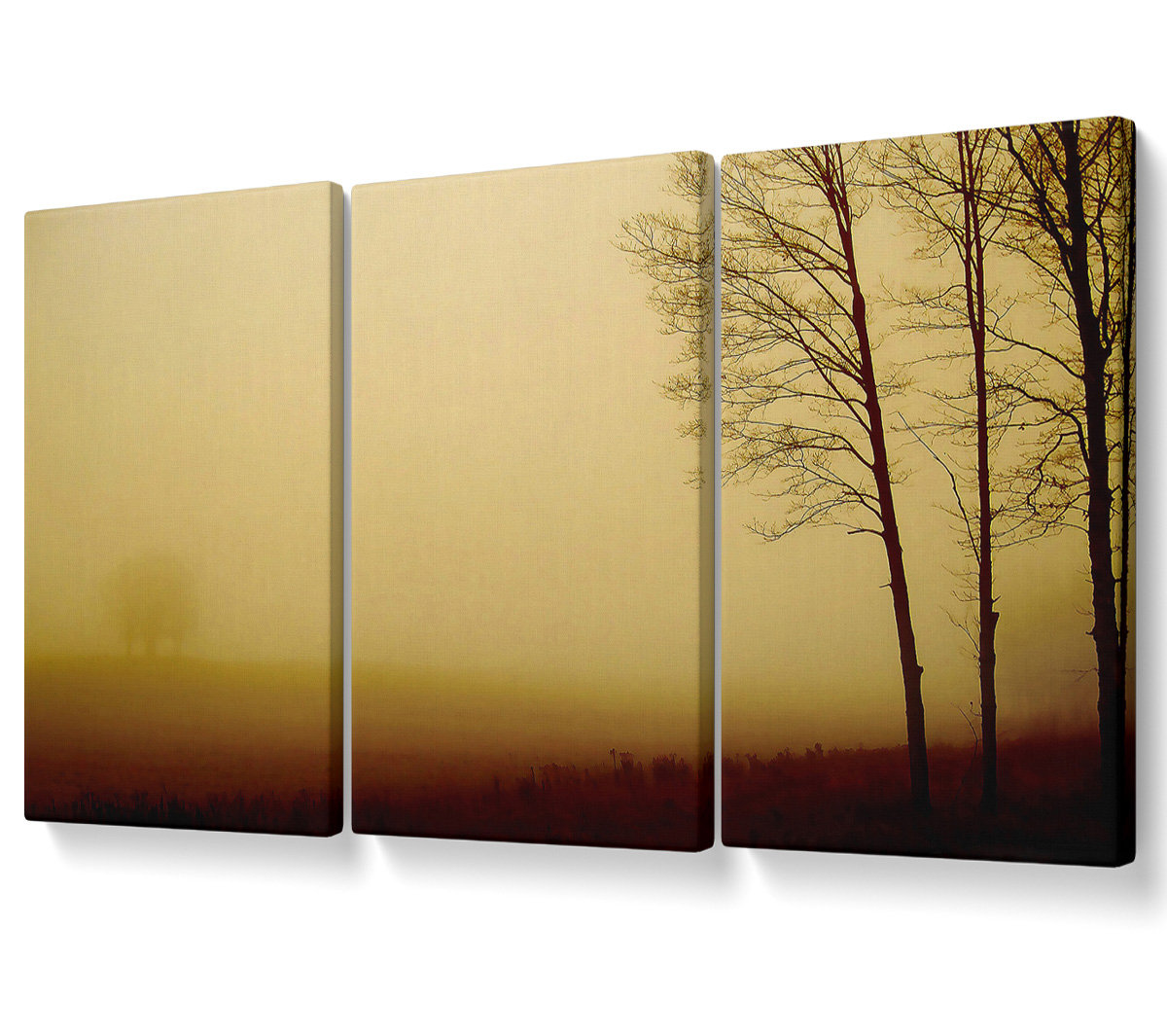 Union Rustic Naked Trees - 3 Piece Wrapped Canvas Graphic Art | Wayfair ...