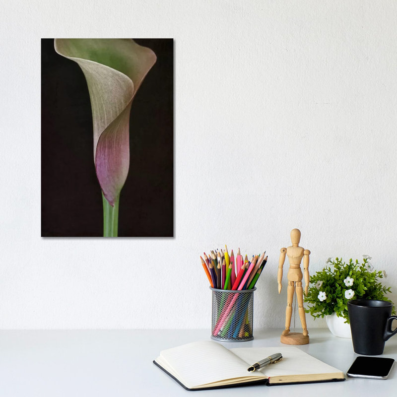 Calla Lily I by Alyson Fennell - Wrapped Canvas Print, 20.32 cm H x 30.48 cm W