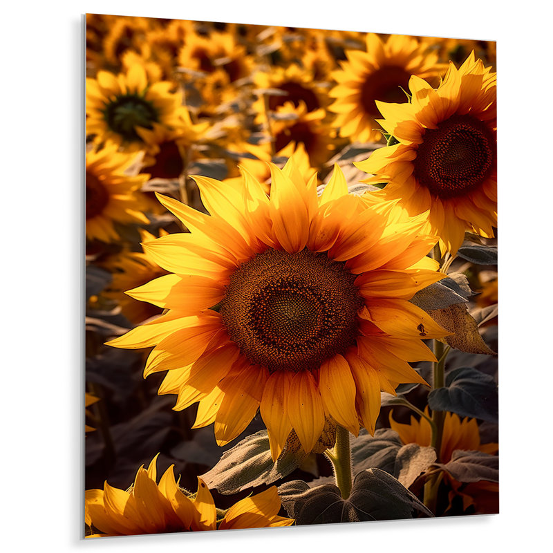 Tournesol doré au coucher du soleil III - art mural floral en métal, H 20 po x l 12 po x P 1 po