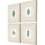 Leaf Adorned I Set by Giclee Studio