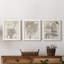 «Sepia Exotic Plants IV», ensemble de 3 peintures sur toile encadrées-595440743-595440739